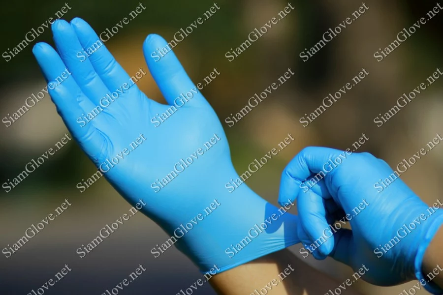 Blue disposable medical glove for health and laboratory use.