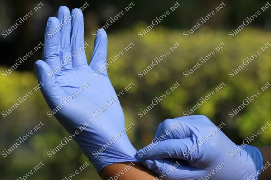 Blue disposable medical glove for health and laboratory use.