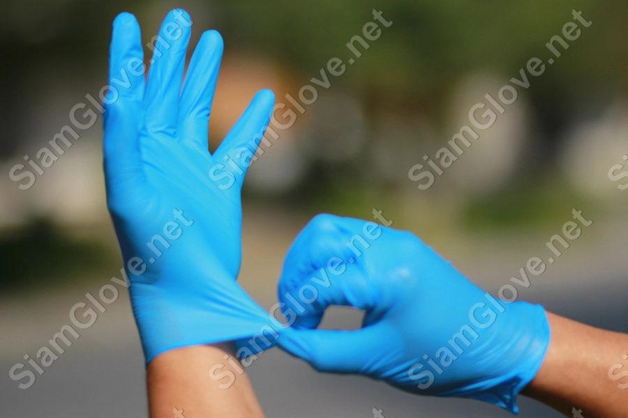 Blue disposable medical glove for health and laboratory use.